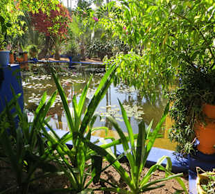 Eindrücke aus dem Jardin Majorelle Garten