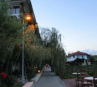 Lacul Neptun I