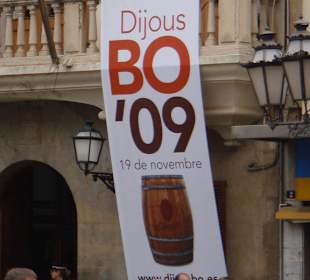 Rathaus mit Dijos Bo Plakat