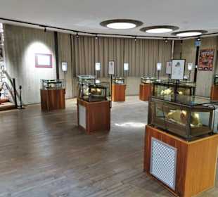In den Ausstellungsräumen der Wachssammlung