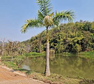 Wandern Ban Mae Chan