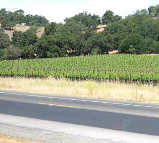 Napa Valley