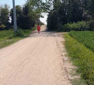 Sportler etc. alles unterwegs