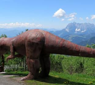 Saurier mit Blick auf den Zahmen Kaiser