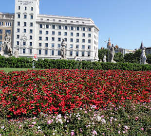 Plaza Catalunya