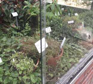 Botanischer Garten