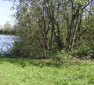 Sport- und Freizeitpark Markwasen