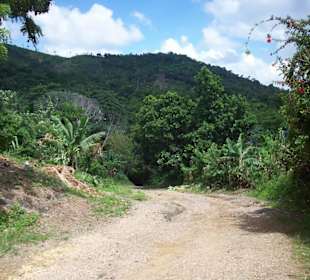 Truck Safari - in den Bergen