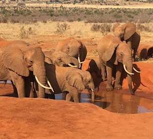 Tsavo Ost Nationalpark