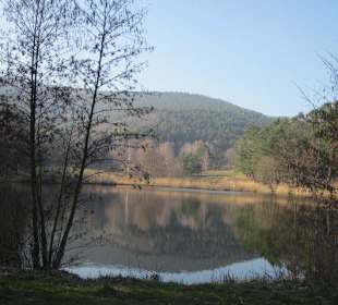 Der wunderschöne Sandwiesenweiher