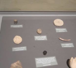 National Museum Of Archaeology