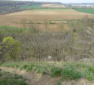 Naturdenkmal Sonnenberg Ausblick