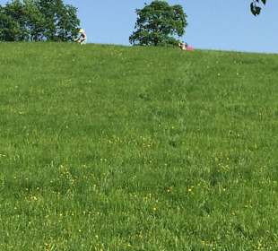 Wandern Rechberg
