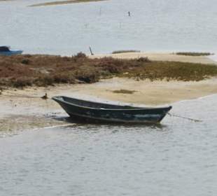 See und Boot bei den Salinen von Faro