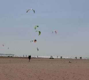 Prasonissi