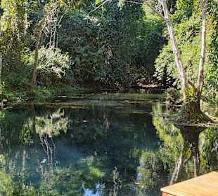 Kuang Si Butterfly Park