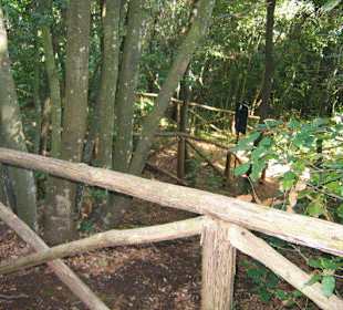 Ein beschwerlicher Weg Necropoli delle Grotte