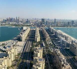 Blick Übergang auf die Palme
