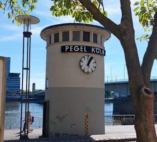 Pegel Köln