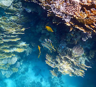 Marsa Shagra Village