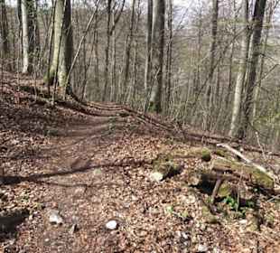 Wanderweg Hochgehkämpft