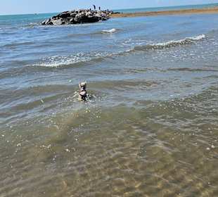 Der beste Bereich in Bibione