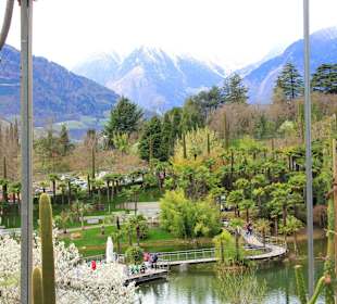 Teichanlage im Garten