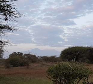 Frühstück am Kilimandscharo