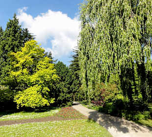 Impressionen von der Insel Siebenbergen