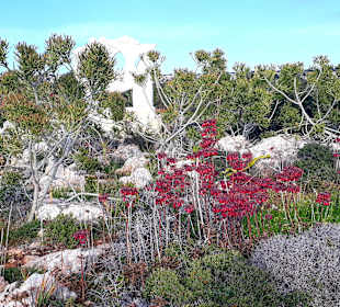 Skulpturenpark