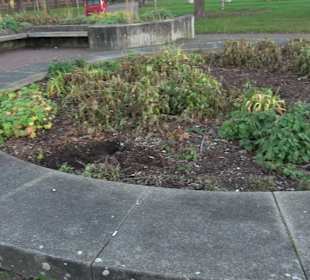 Stadtgarten Stuttgart