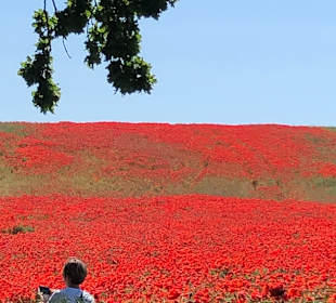 Wandern Binz auf Rügen