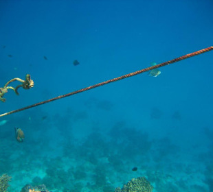 Stille faszinierende Tiefe