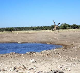 Etosha