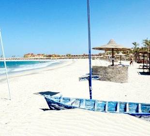 Marsa Alam - Delfinschwimmen Yasser-Delfine Hurghada