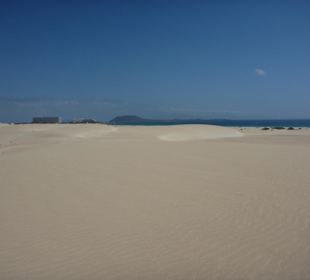 Ausflug zur Wanderdüne