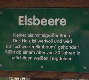 Baumlehrpfad Sontheim