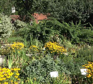 Klosterkirche Maria Gnadenzell