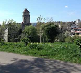 Rosengarten Villa Berg