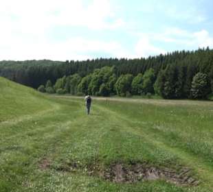 Klimaweg Sonnenalb