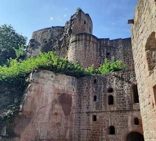 Schloss- und Festungsruine Hardenburg