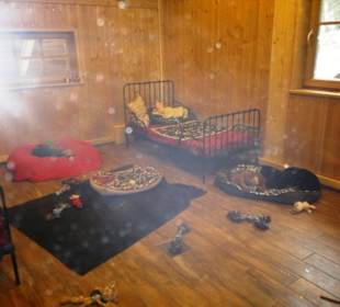 Gut Aiderbichl Katzen/Hundehaus