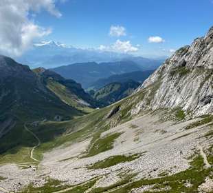 Ausblick 