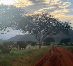 Tsavo Ost und West Safari