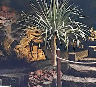 Jameos del Agua Cesar Manrique