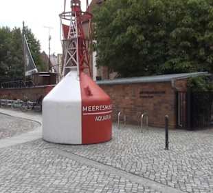 Meeresmuseum Stralsund