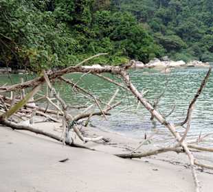 Monkey beach/park narodowy Penang