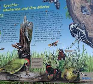 Naturerlebnisweg des NABU-Metzingen