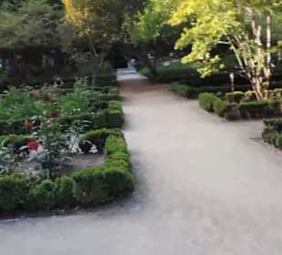 Real Jardín Botánico de Madrid
