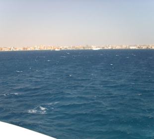 Suche nach Delphinen